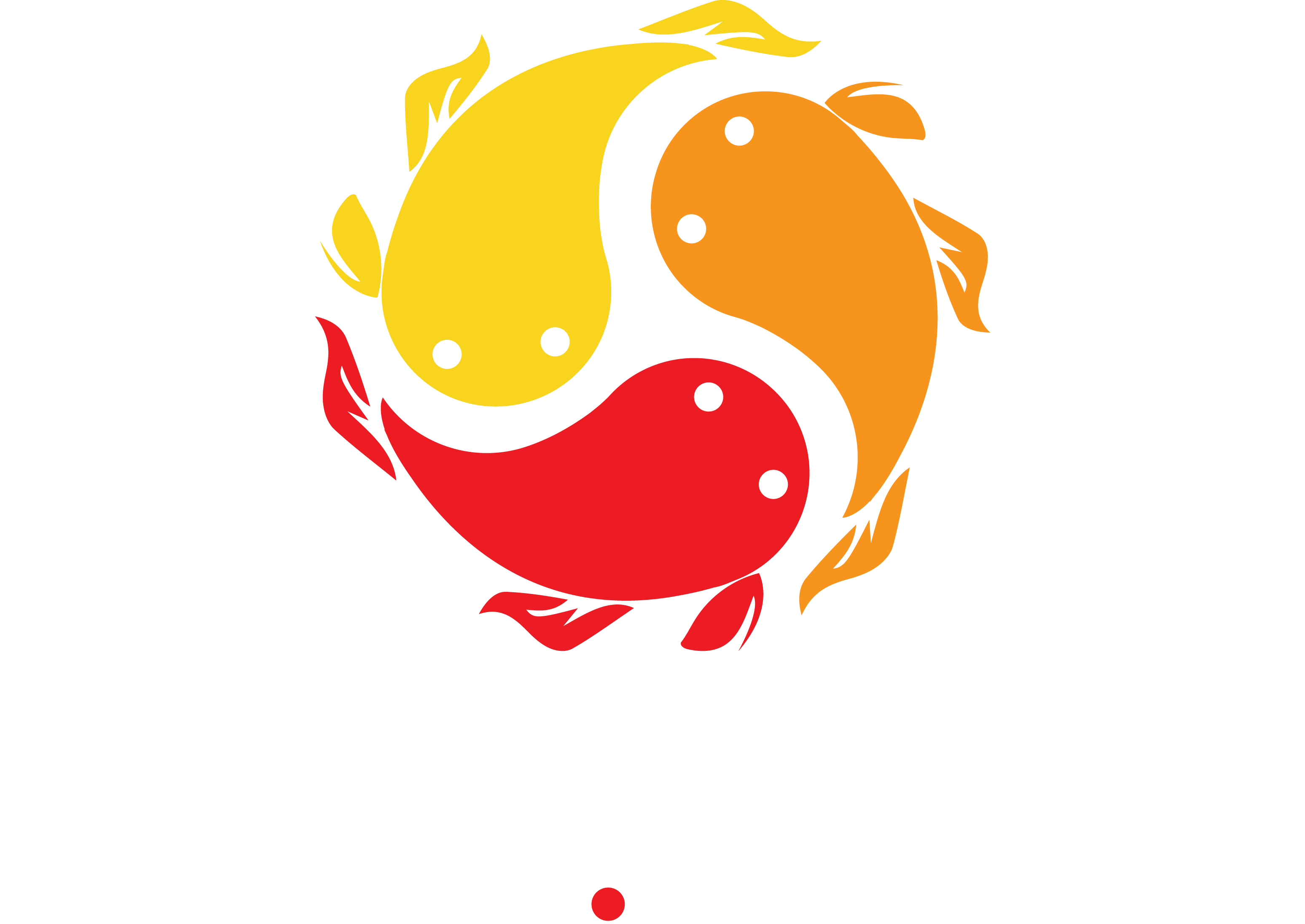 Ronin Codes logo